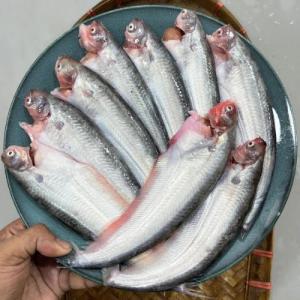 পাবদা মাছ ১কেজি (রান্নার জন্য প্রস্তুত)